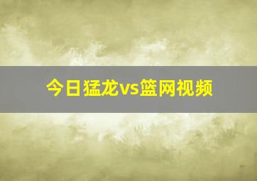 今日猛龙vs篮网视频