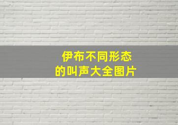 伊布不同形态的叫声大全图片