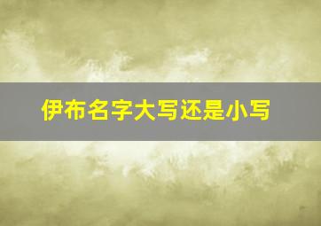 伊布名字大写还是小写