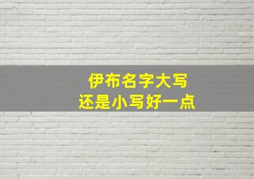 伊布名字大写还是小写好一点