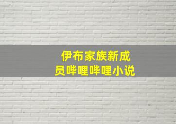 伊布家族新成员哔哩哔哩小说