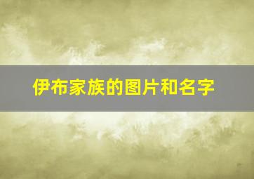 伊布家族的图片和名字