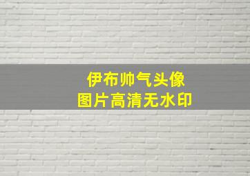 伊布帅气头像图片高清无水印