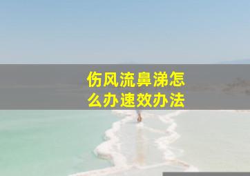 伤风流鼻涕怎么办速效办法