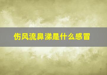 伤风流鼻涕是什么感冒