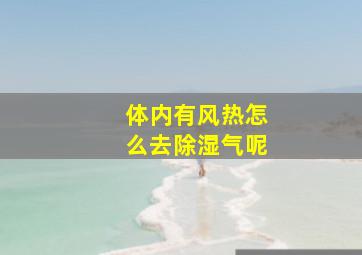 体内有风热怎么去除湿气呢