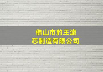 佛山市豹王滤芯制造有限公司