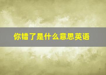 你错了是什么意思英语