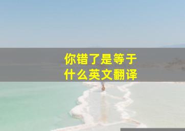 你错了是等于什么英文翻译