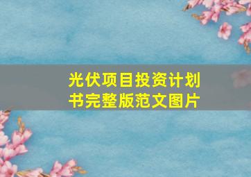 光伏项目投资计划书完整版范文图片