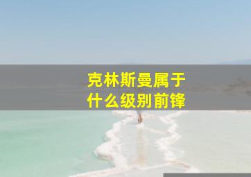 克林斯曼属于什么级别前锋