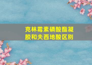 克林霉素磷酸酯凝胶和夫西地酸区别