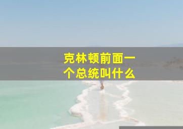 克林顿前面一个总统叫什么