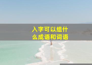 入字可以组什么成语和词语