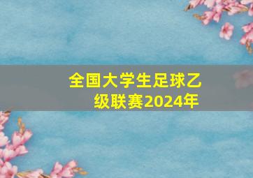 全国大学生足球乙级联赛2024年