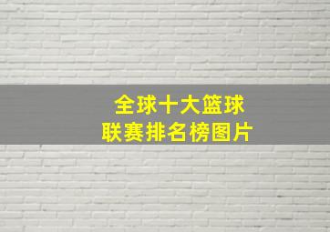 全球十大篮球联赛排名榜图片