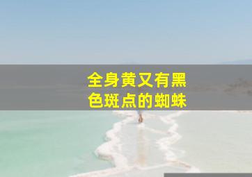 全身黄又有黑色斑点的蜘蛛