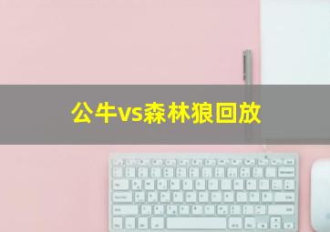 公牛vs森林狼回放