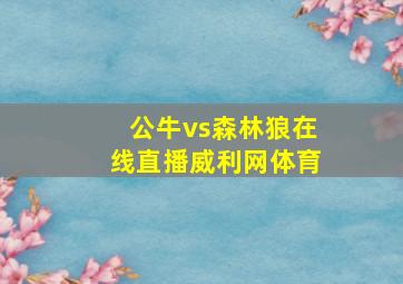 公牛vs森林狼在线直播威利网体育