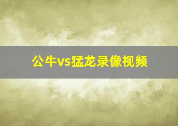 公牛vs猛龙录像视频