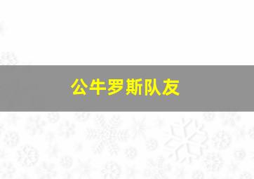 公牛罗斯队友