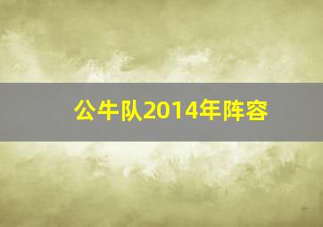 公牛队2014年阵容