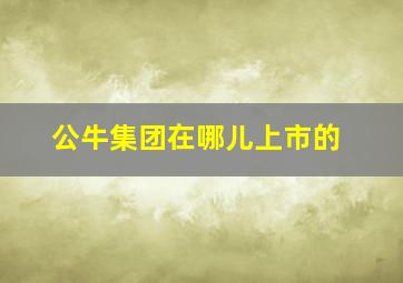 公牛集团在哪儿上市的