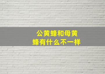 公黄蜂和母黄蜂有什么不一样