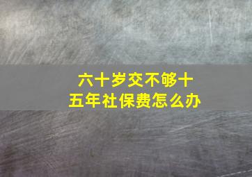 六十岁交不够十五年社保费怎么办