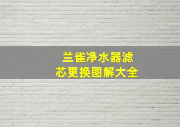 兰雀净水器滤芯更换图解大全