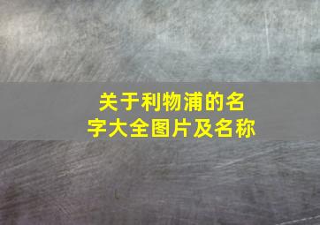 关于利物浦的名字大全图片及名称