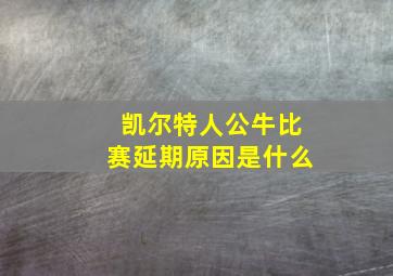 凯尔特人公牛比赛延期原因是什么