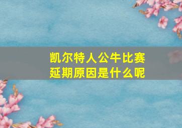 凯尔特人公牛比赛延期原因是什么呢