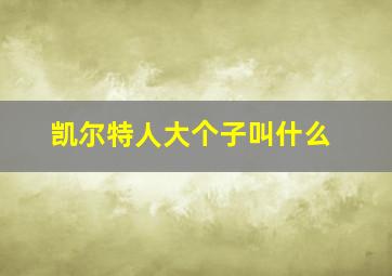 凯尔特人大个子叫什么