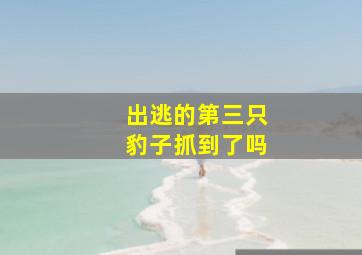 出逃的第三只豹子抓到了吗