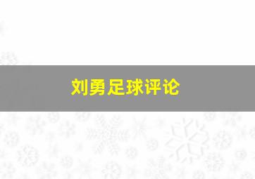 刘勇足球评论