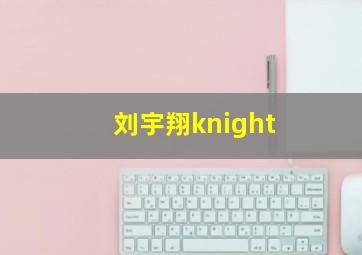 刘宇翔knight