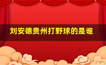 刘安德贵州打野球的是谁