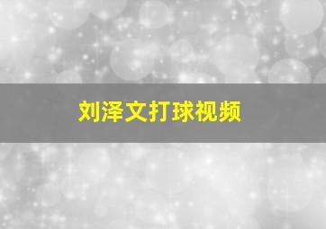 刘泽文打球视频