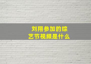 刘翔参加的综艺节视频是什么