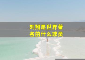 刘翔是世界著名的什么球员