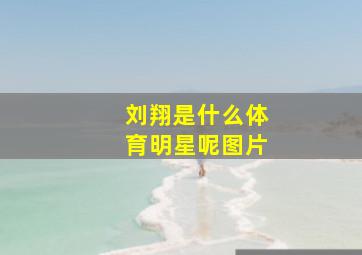 刘翔是什么体育明星呢图片