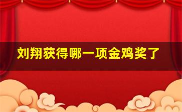 刘翔获得哪一项金鸡奖了