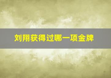 刘翔获得过哪一项金牌