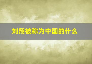 刘翔被称为中国的什么