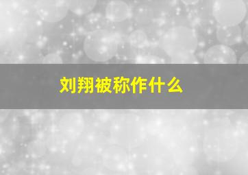 刘翔被称作什么