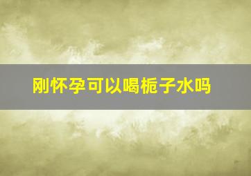 刚怀孕可以喝栀子水吗