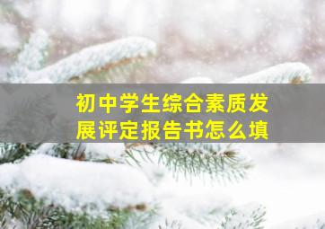 初中学生综合素质发展评定报告书怎么填