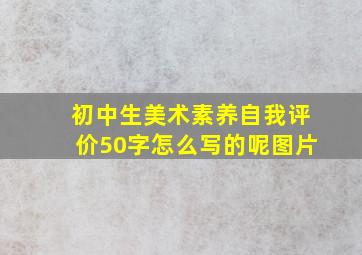 初中生美术素养自我评价50字怎么写的呢图片