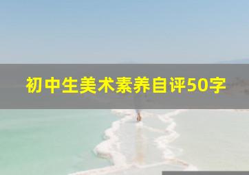 初中生美术素养自评50字